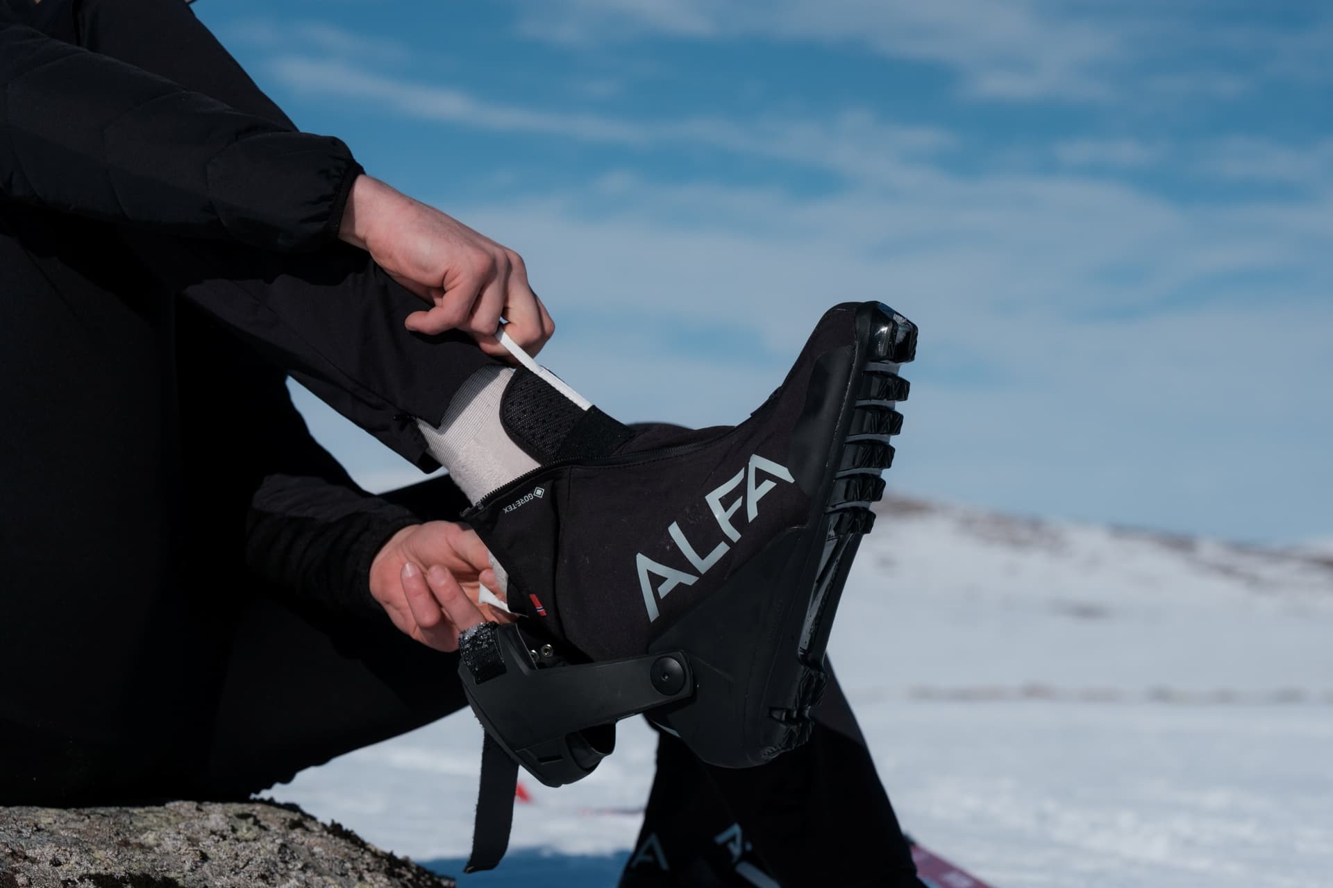 Alfa - Home